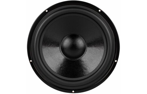 DS270-8 10" Designer Series Woofer Speaker