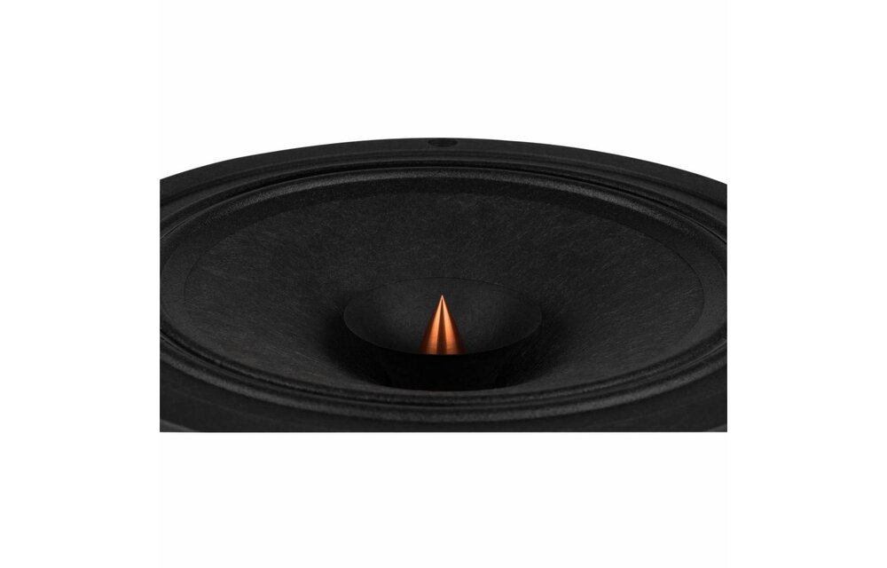 PS220-8 8" Point Source Full-Range Neo Driver