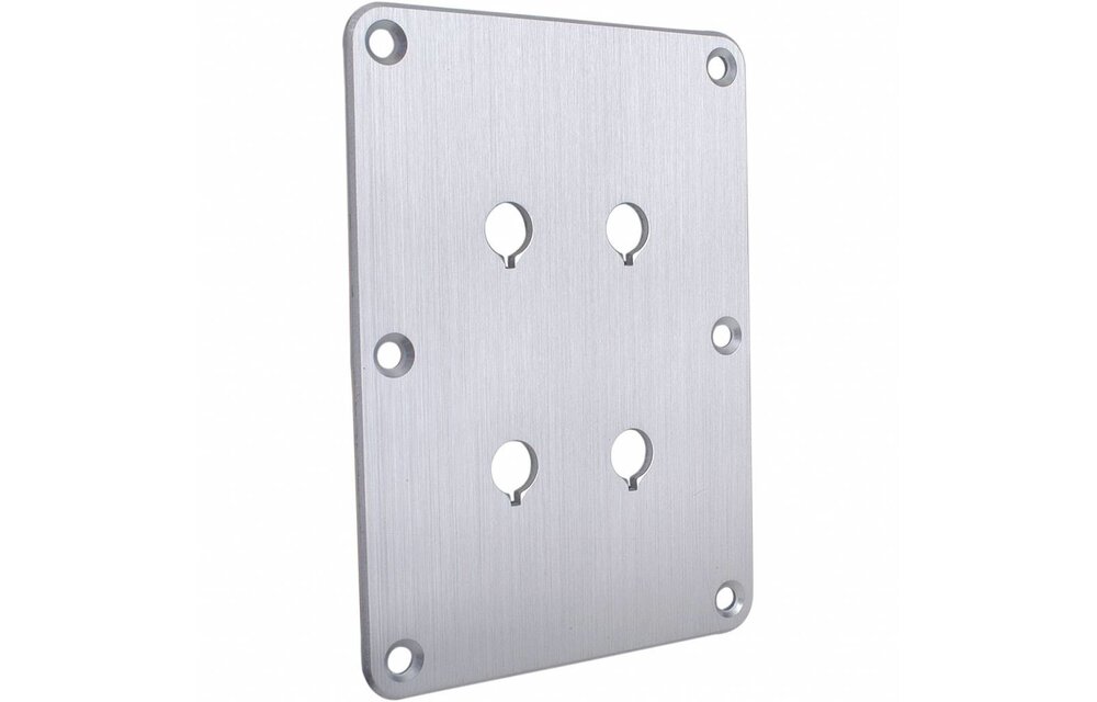 DBPP-SI Double Binding Post Plate Silver Anodized