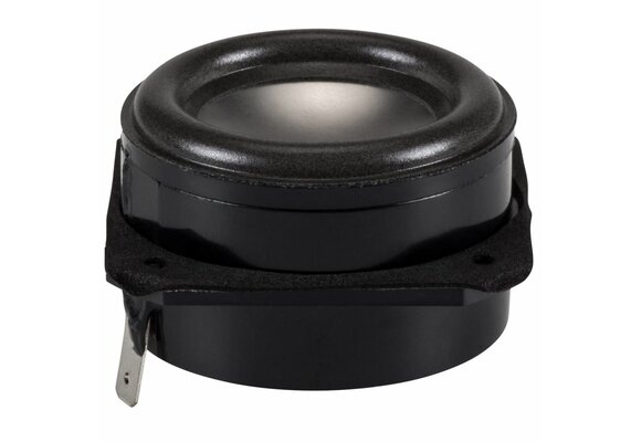 NS2-326-8AT Full-range Woofer