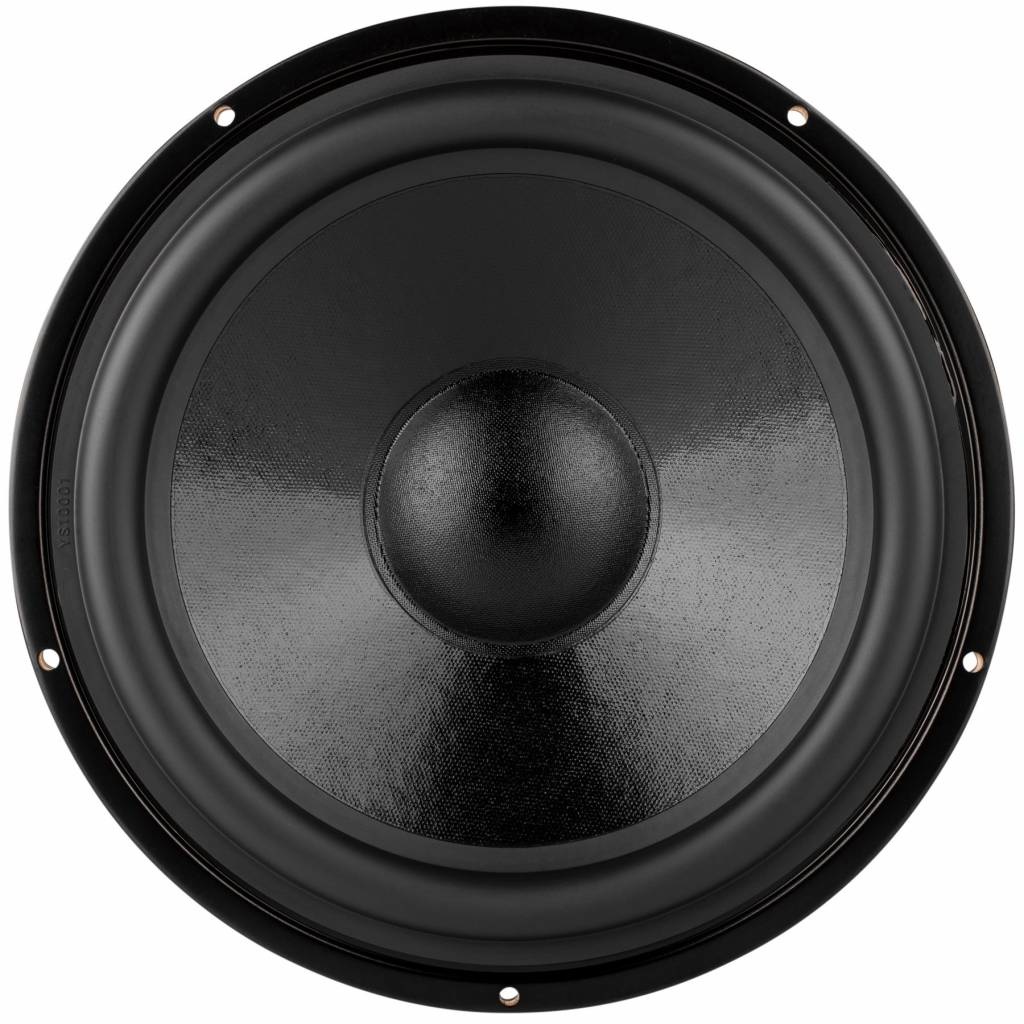 DS270-PR 10" Passive Radiator