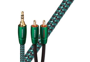 Evergreen RCA to Jack