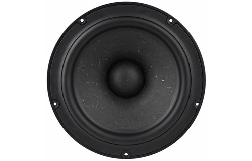 NE225W-04 8" subwoofer