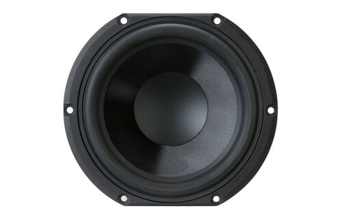 HDS-P830991 5-1/4" GFC Cone HDS Woofer