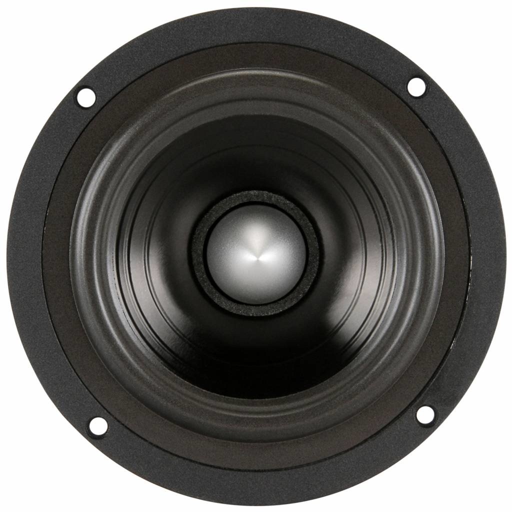 FR135EX 5" Full Range Speaker