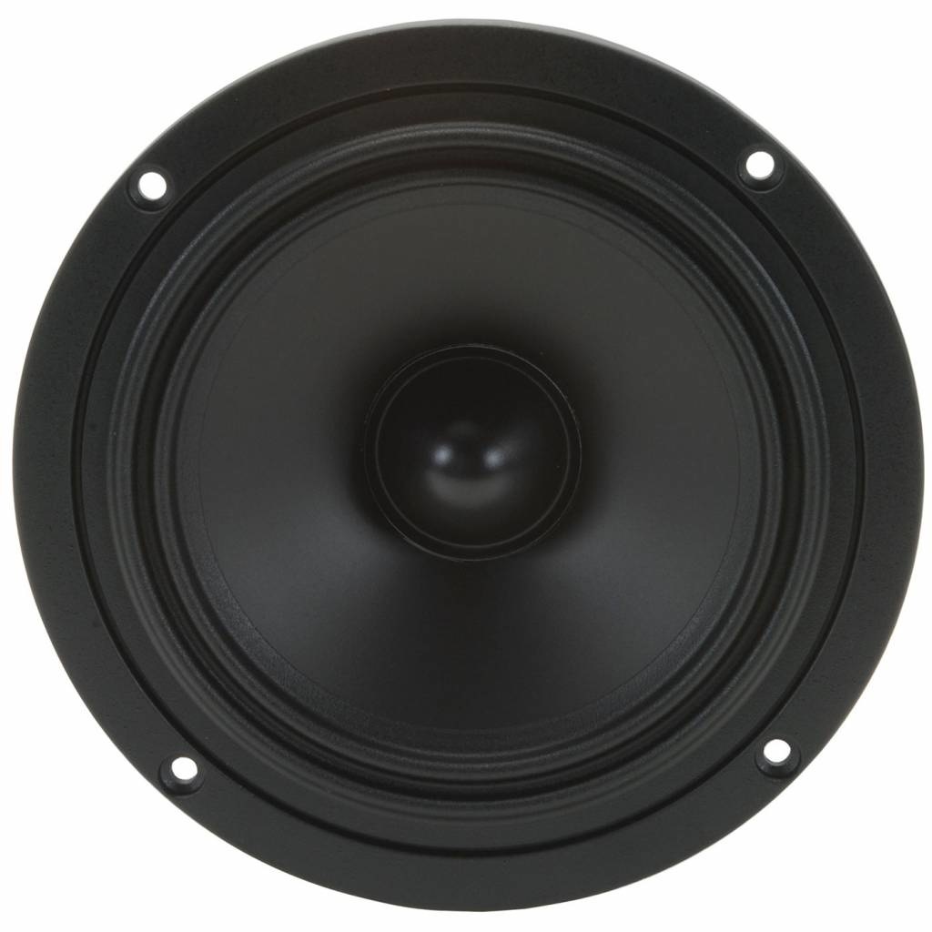W5-704D 5-1/4" Woofer