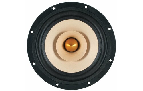 W8-1772 8" Neodymium Full Range Driver