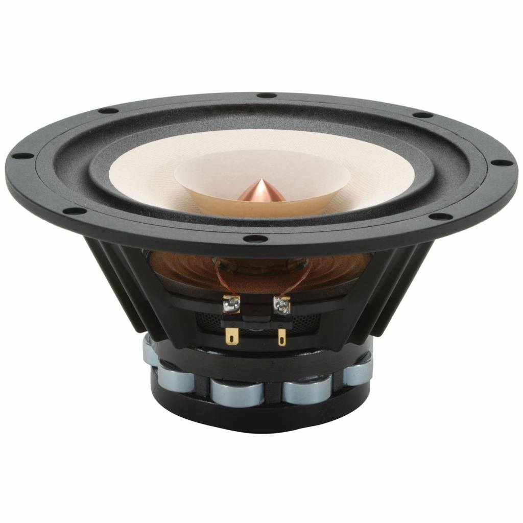 W8-1808 8" Neodymium Full Range Driver