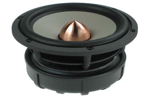 Excel W16NX001 - E0049-08 6" Magnesium Cone Woofer