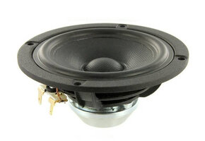 Discovery 10F/8414G10 Full-range Woofer