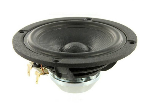 Discovery 10F/8414G10 Full-range Woofer