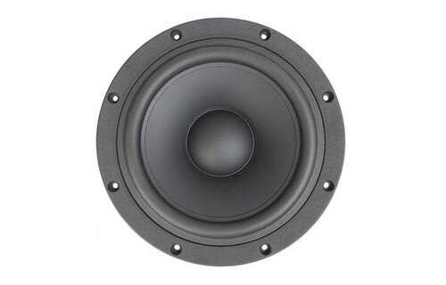 SB29NRX75-6 10" Woofer
