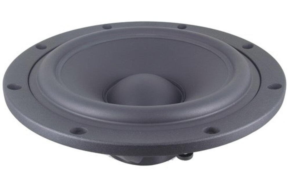 SB29NRX-00 10" Passive Radiator