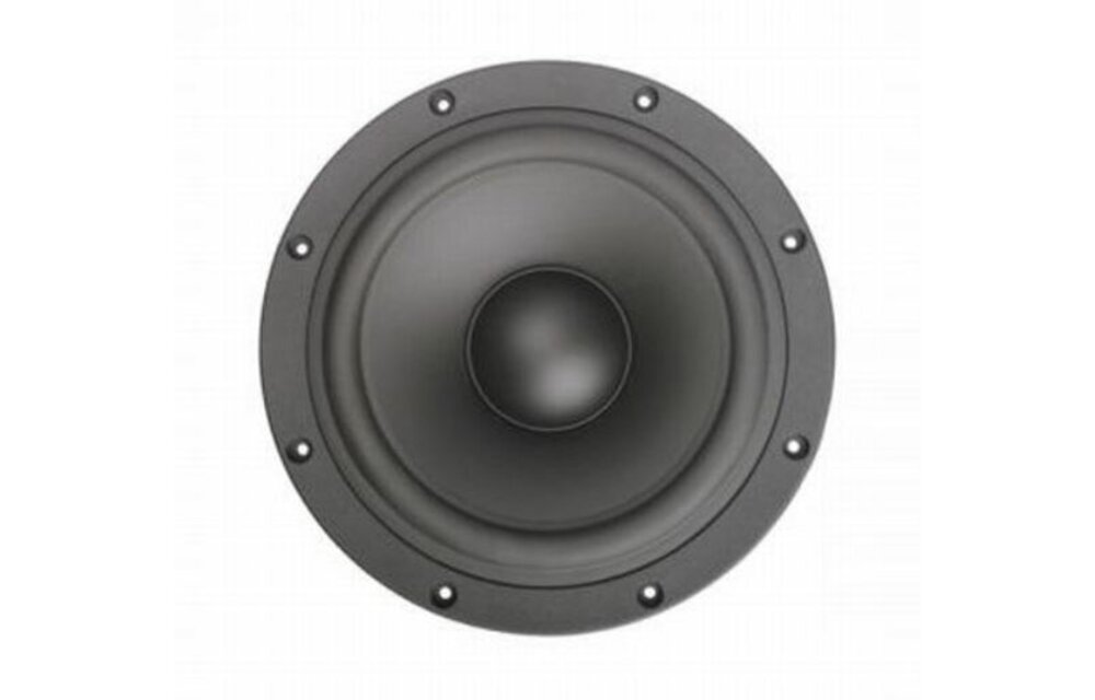 SB29NRX-00 10" Passive Radiator