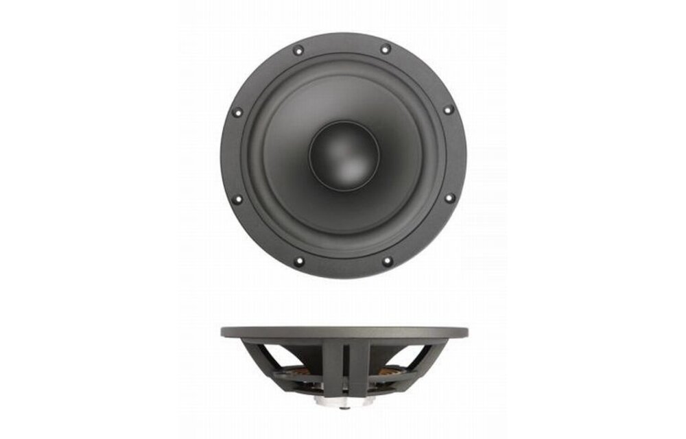 SB29NRX-00 10" Passive Radiator