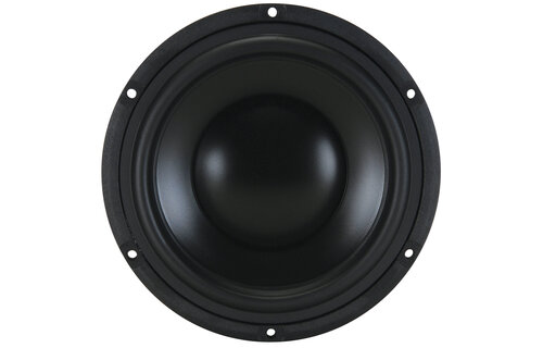 TiW 638Ft Titanium Series Ferrite 6" Woofer 8 Ohm
