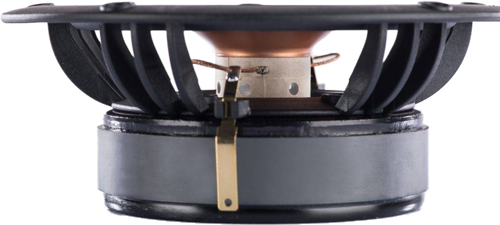 Alpair-11MS Gold 6,5" Full Range  Woofer