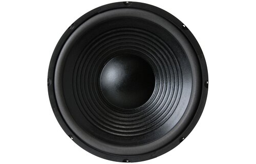 12PF-8 12" Paper Cone Foam Surround Woofer