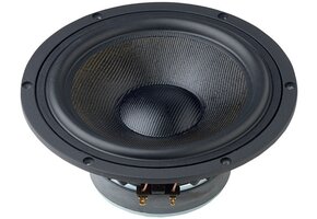 GF 200 Woofer