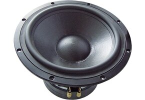 TIW 300 Subwoofer