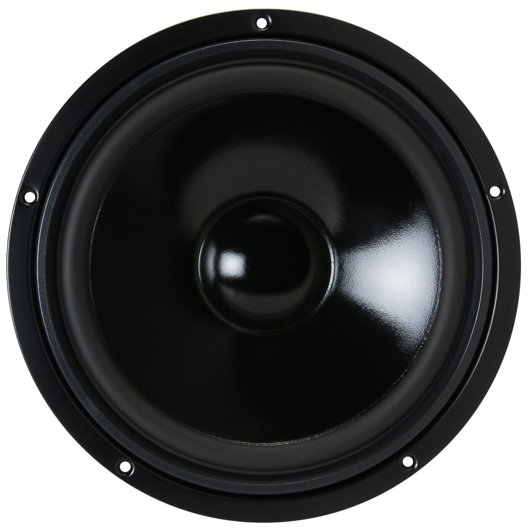 W 250 S - 4 10" HiFi Woofer 4 Ohm