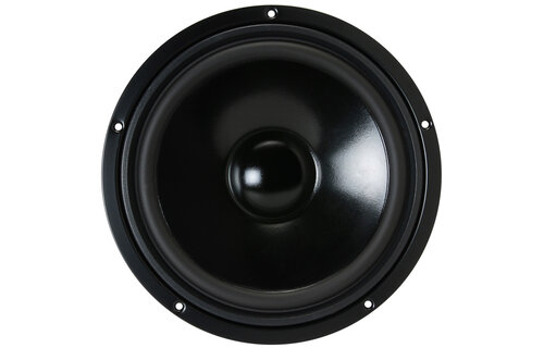 W 250 S - 8 10" HiFi Woofer 8 Ohm