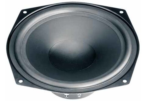 WS 20 E - 8 Woofer