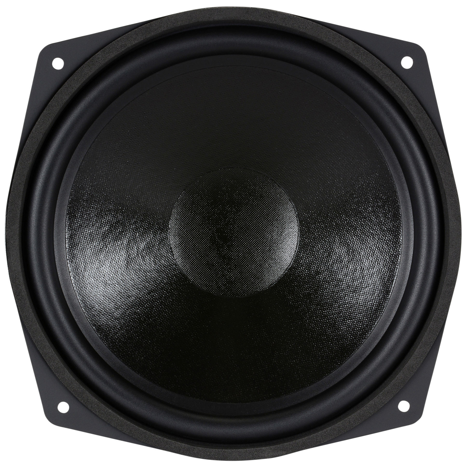 WS 25 E 10" HiFi Woofer 8 Ohm
