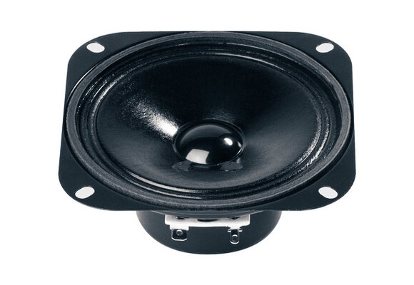 R 10 S - 8 Full-range Woofer