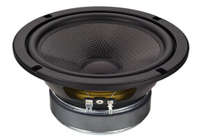 SP-6/100PRO Bass-midwoofer