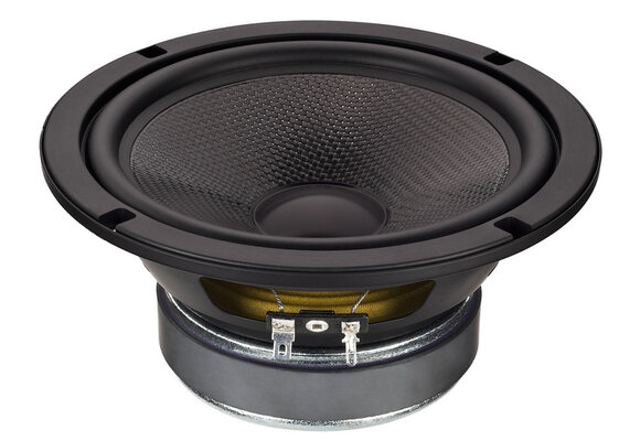 SP-6/100PRO Bass-midwoofer