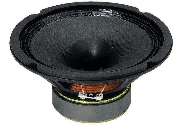 SP-200X Full-range Woofer