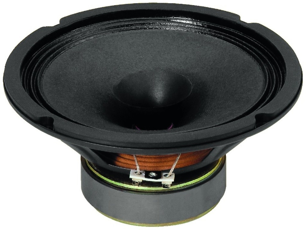 SP-200X 8'' Full Range Driver 8 Ohm