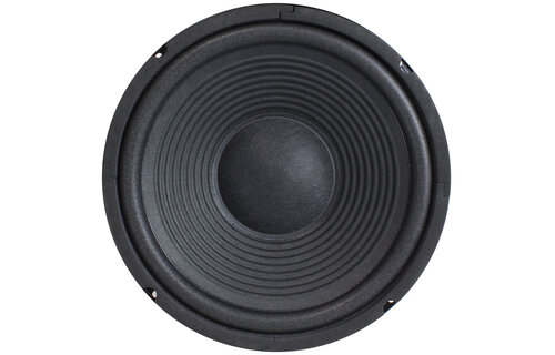 SP-252E 10'' Foam Surround Woofer