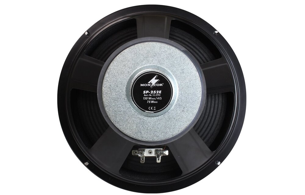 SP-252E 10'' Foam Surround Woofer