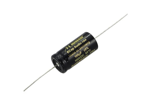 ECAP100-100 | 100 µF | 5% | 100 V