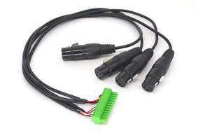 Phoenix to XLR Female