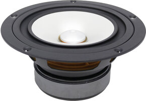 CHN-110 Silver Full-range Woofer