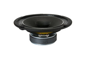BG 17 Full-range Woofer