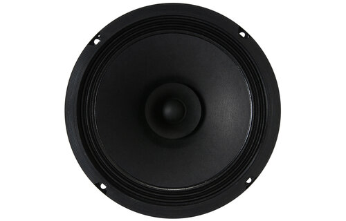 BG 20 8" Full-Range Speaker 8 Ohm
