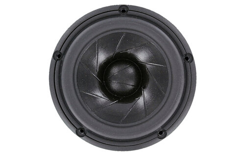 Revelator 15W/8530K00 5.5'' Midwoofer