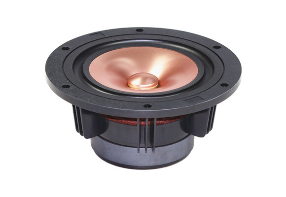 CHR-120 Gold Full-range Woofer
