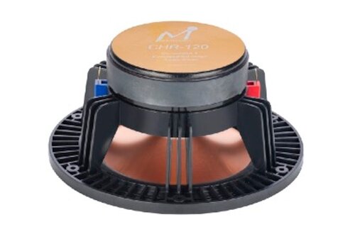 CHR-120 6.5" Gold Full Range Magnesium Woofer