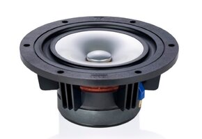 CHR-120 Grey Full-range Woofer