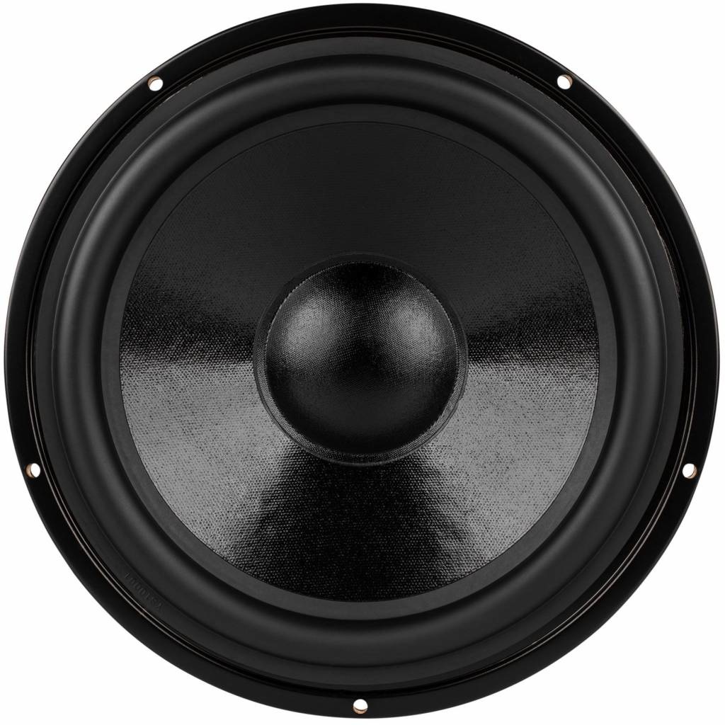 DS270-8 10" Designer Series Woofer Speaker