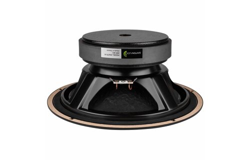 DS270-8 10" Designer Series Woofer Speaker