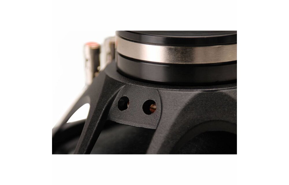 PS220-8 8" Point Source Full-Range Neo Driver