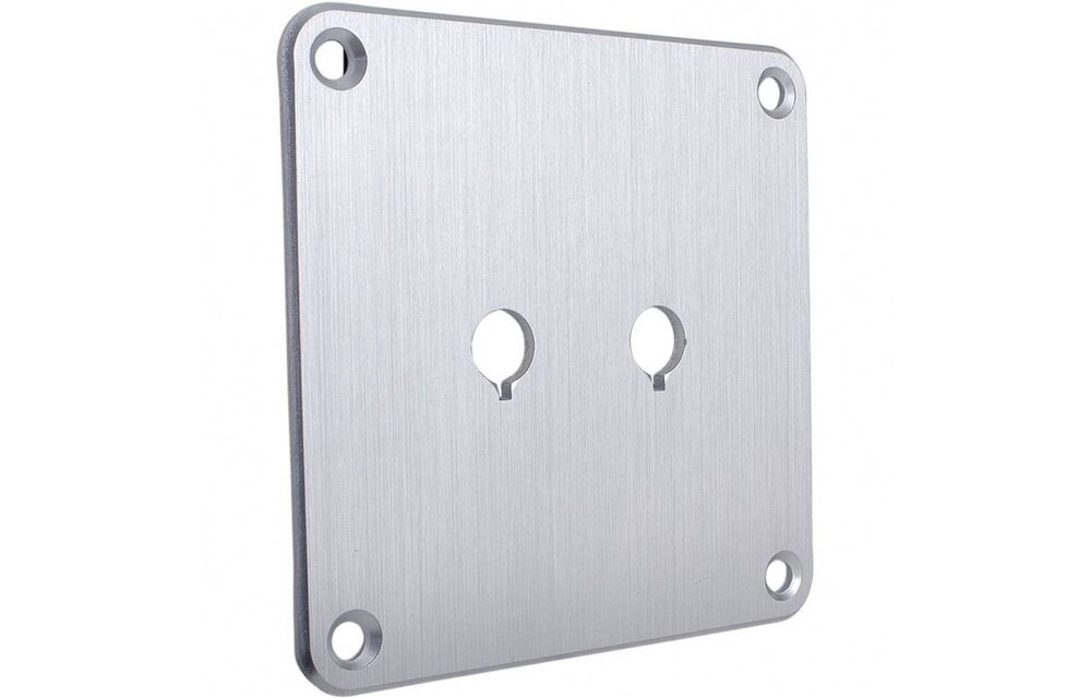 SBPP-SI Binding Post Plate Silver Anodized