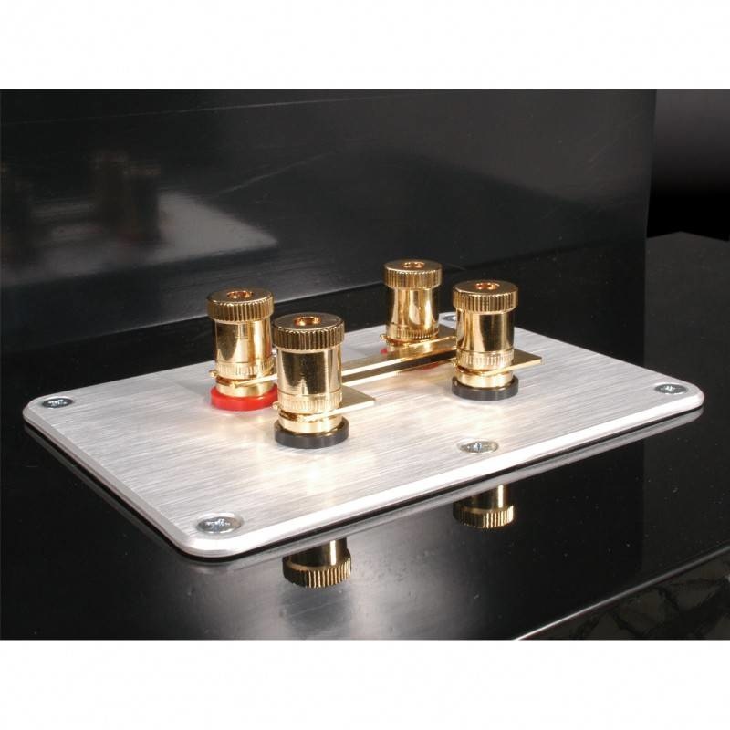 SBPP-SI Binding Post Plate Silver Anodized