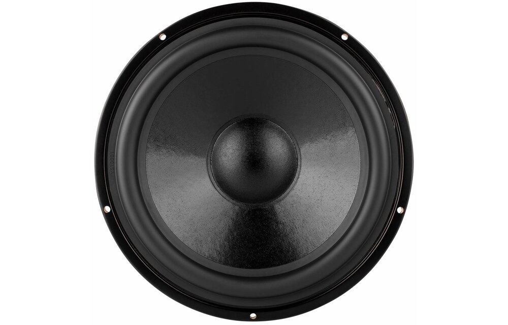 DS270-PR 10" Passive Radiator